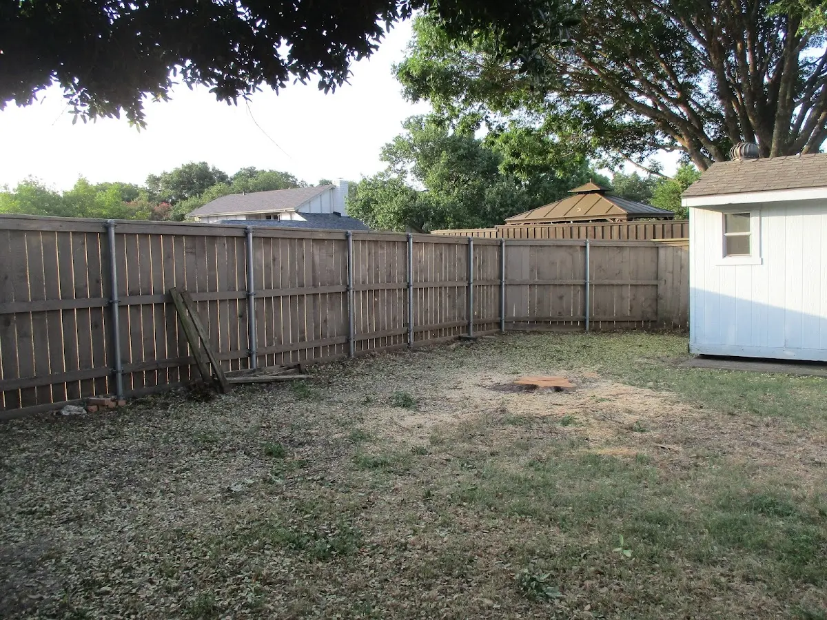 Cleared yard after professional tree removal in Webster Springs